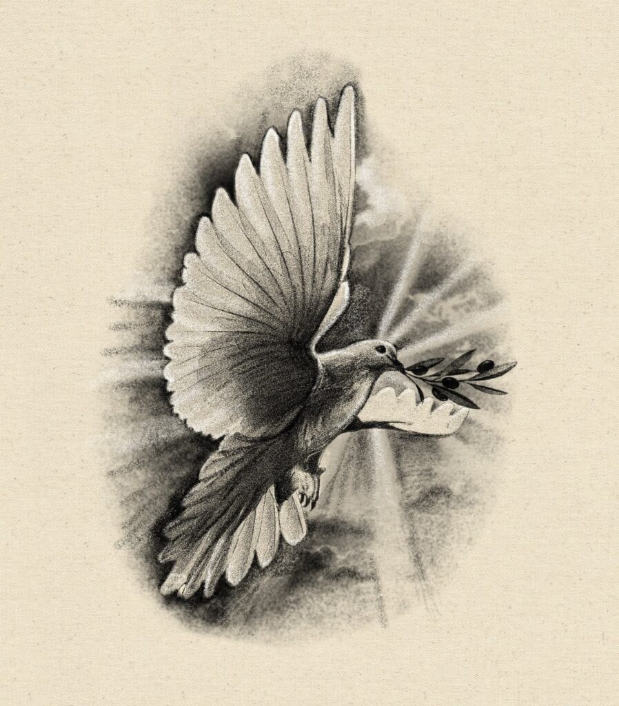 Dove with olive branch in beak, detailed black and grey pencil sketch.