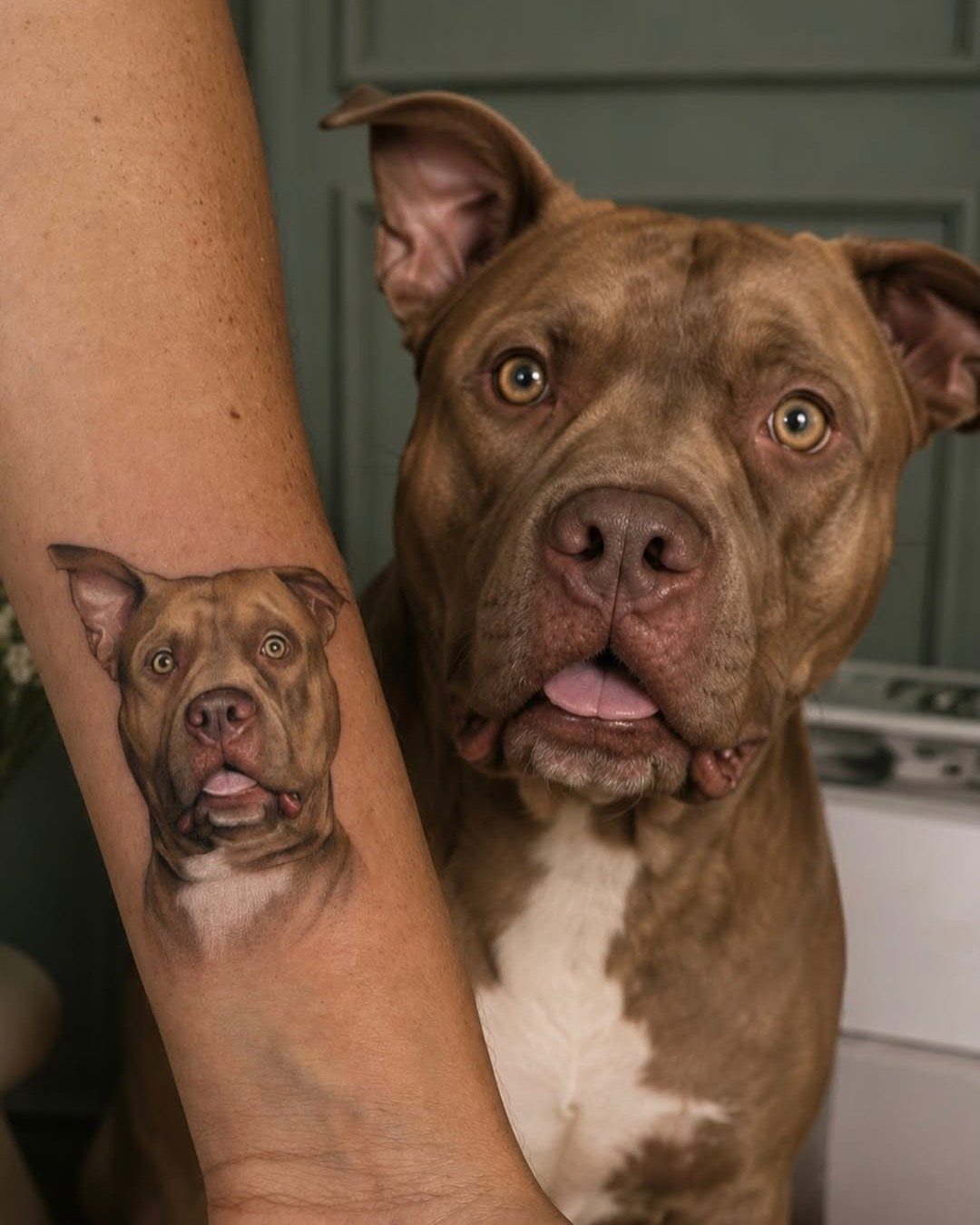 Hyper realistic pit bull tattoo on a forearm next to the real dog.
